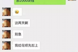 丽江融资清欠服务